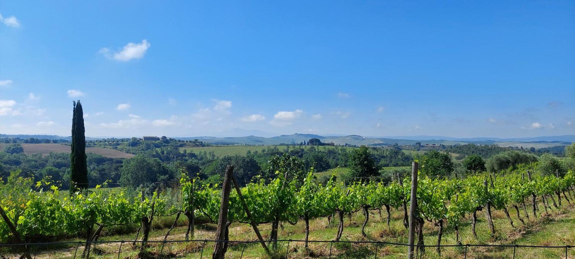 קסטלנואובו ברארדנגה Chianti - Lovely Cottage With Parking & Garden! מראה חיצוני תמונה